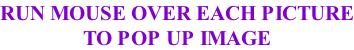 RUN MOUSE OVER EACH PICTURE TO POP UP IMAGE